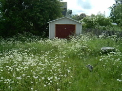 Vid garaget före. 