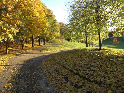 höst i parken